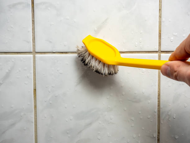 Best Commercial Mold Removal  in Moorhead, MN