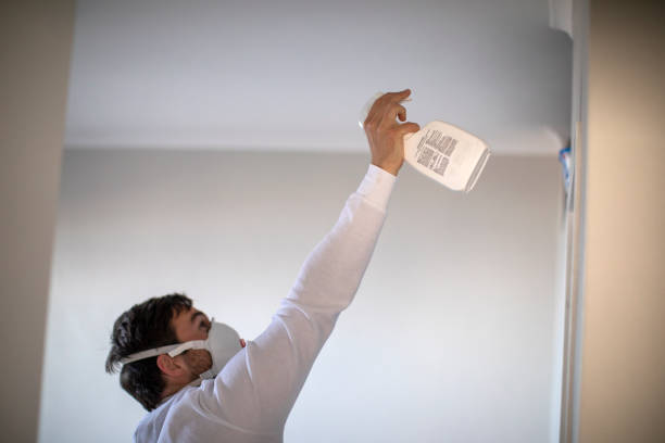 Home Mold Removal in Moorhead, MN