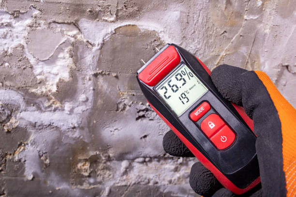Best Mold Removal Near Me  in Moorhead, MN