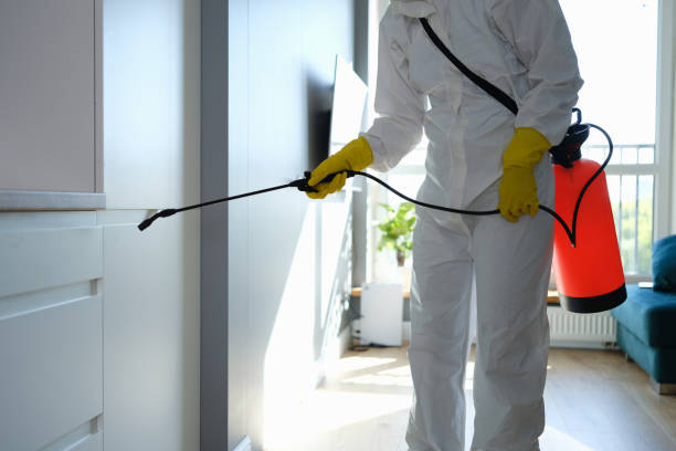 Best Mold Cleaning Services  in Moorhead, MN
