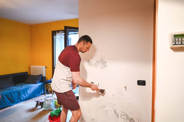 Best Office Mold Removal Services  in Moorhead, MN