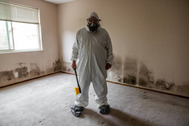 Best Mold Remediation Services  in Moorhead, MN